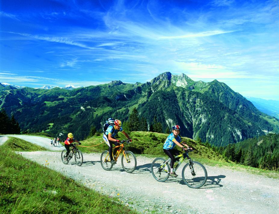 Pension Hochkönigblick Sankt Johann im Pongau Exteriör bild